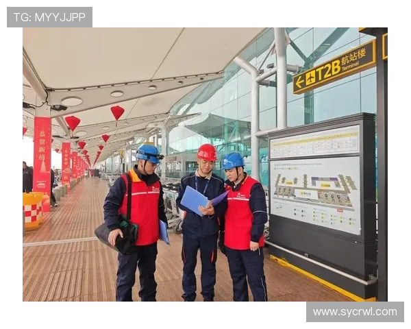 重庆排球队再创佳绩排球耐力排名跃升至新高峰