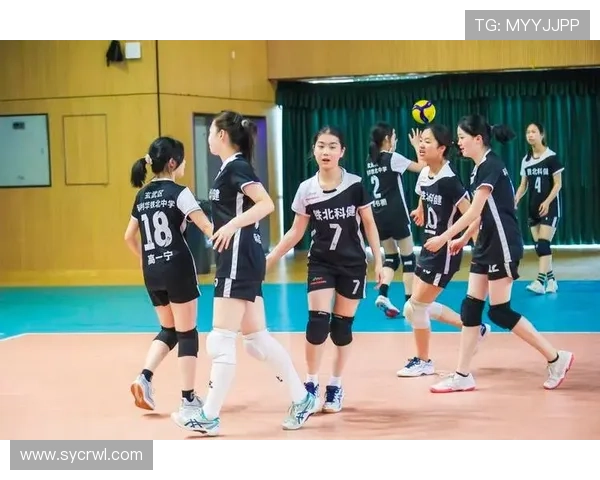 南京排球队在全国排球比赛经验排行榜中荣获第四名的辉煌成就 南京排球队在全国排球比赛经验排行榜中荣获第四名的辉煌成就